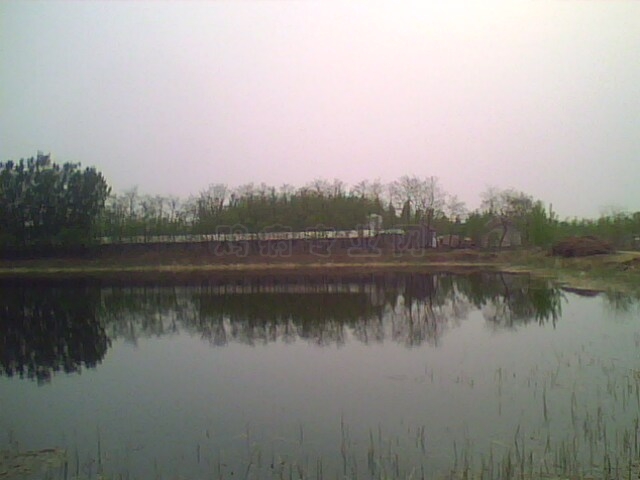 IMG0496A.jpg