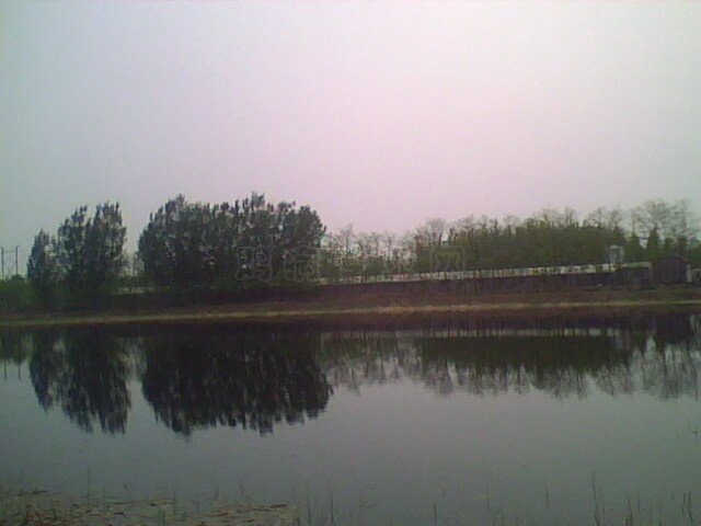 IMG0498A.jpg