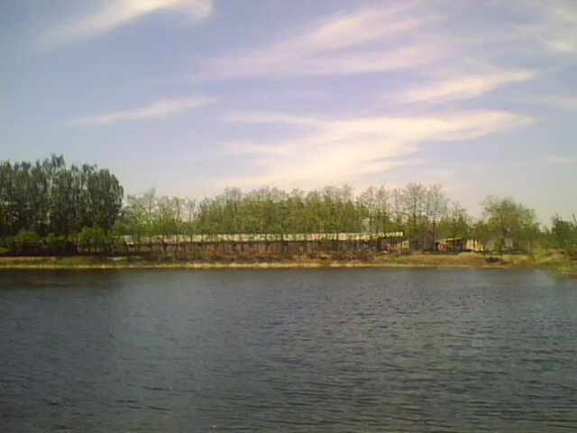 IMG0504A.jpg
