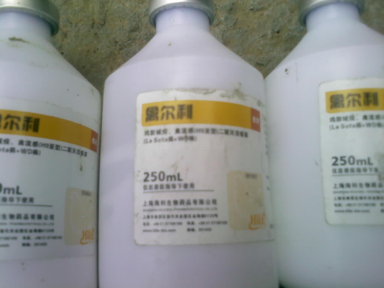 100627000.jpg