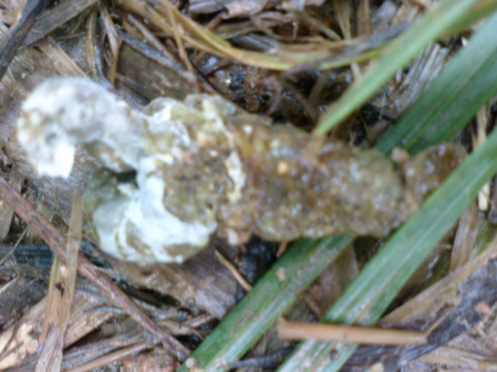 DSC00685.JPG