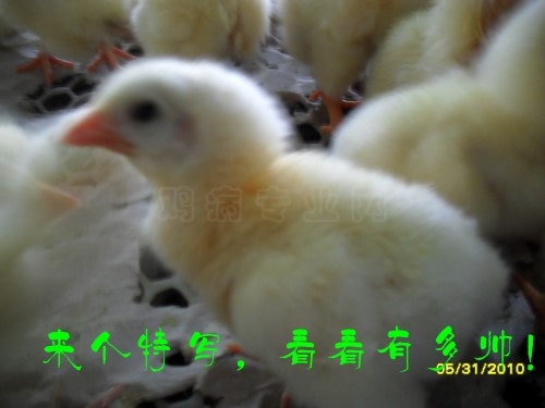 SDC10653_conew2.jpg