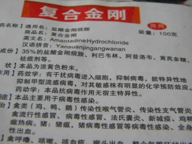 Ƭ 016.jpg