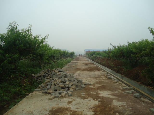 DSC01055.JPG