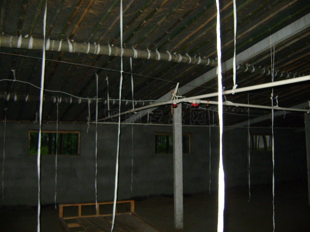 DSC02471.JPG