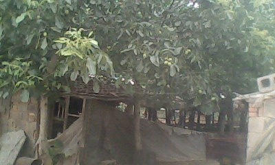 IMG0348A.jpg
