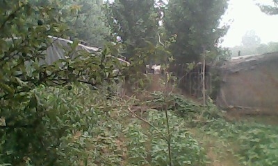 IMG0340A.jpg