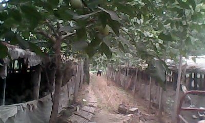 IMG0336A.jpg