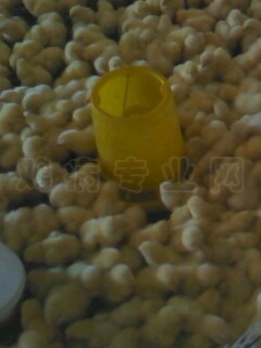 IMG0112A.jpg