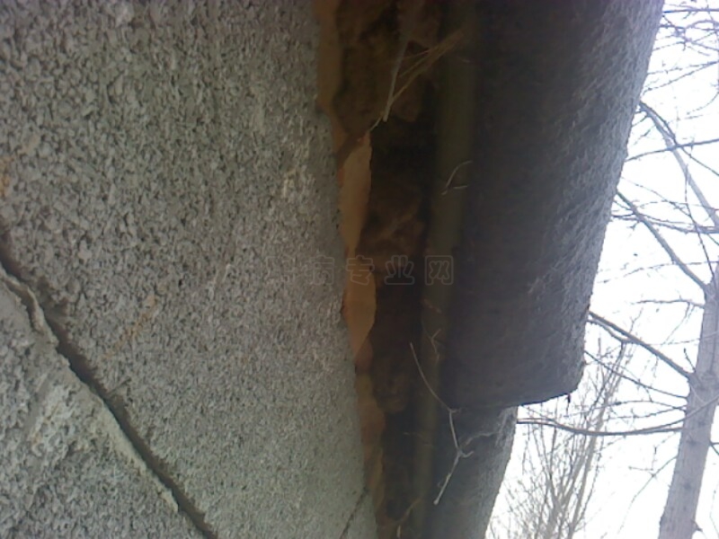 IMG0697A.jpg