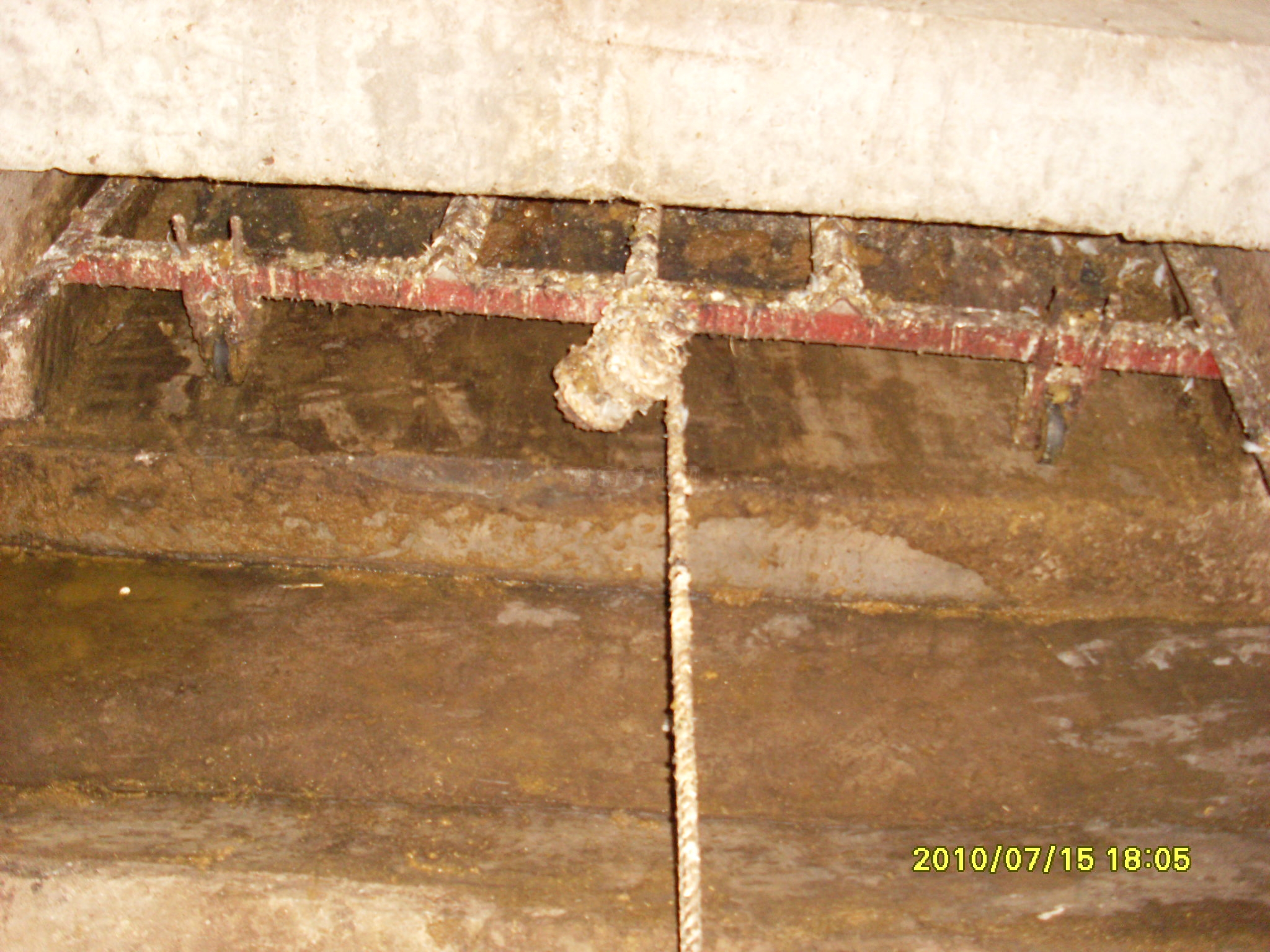 SL387000.JPG
