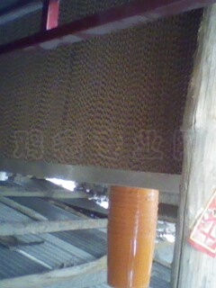 IMG0049A.jpg