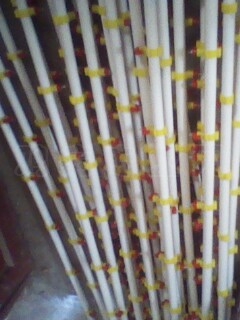 IMG0054A.jpg