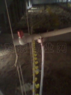 IMG0069A.jpg