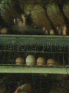 IMG0357A.jpg