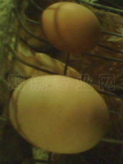 IMG0124A.jpg