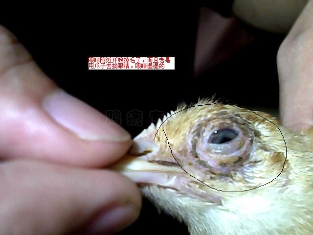 ͼƬ 004.jpg