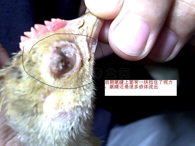 ͼƬ 016.jpg