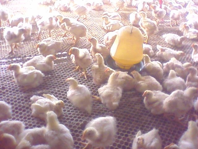 0101_0002_02.jpg