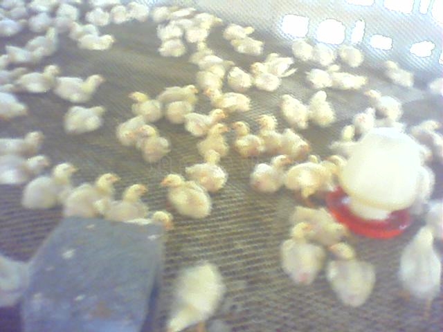 0101_0002_01.jpg
