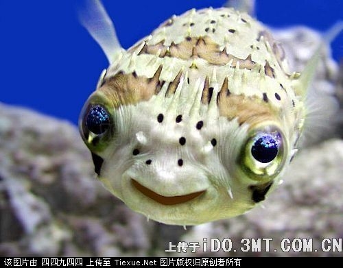 2008_10_9_30758_8030758.jpg
