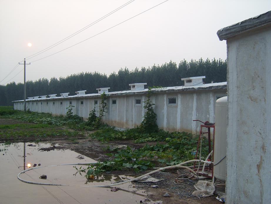 SL277453.JPG