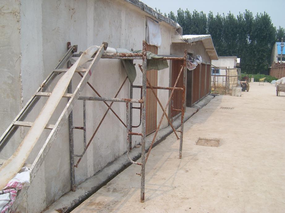 SL277458.JPG