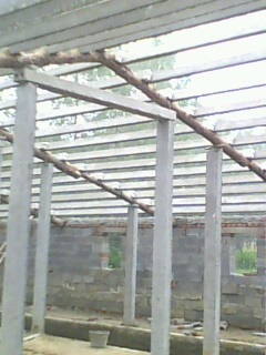 IMG0056A.jpg
