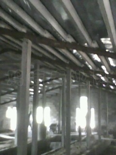 IMG0066A.jpg