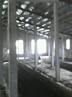 IMG0068A.jpg