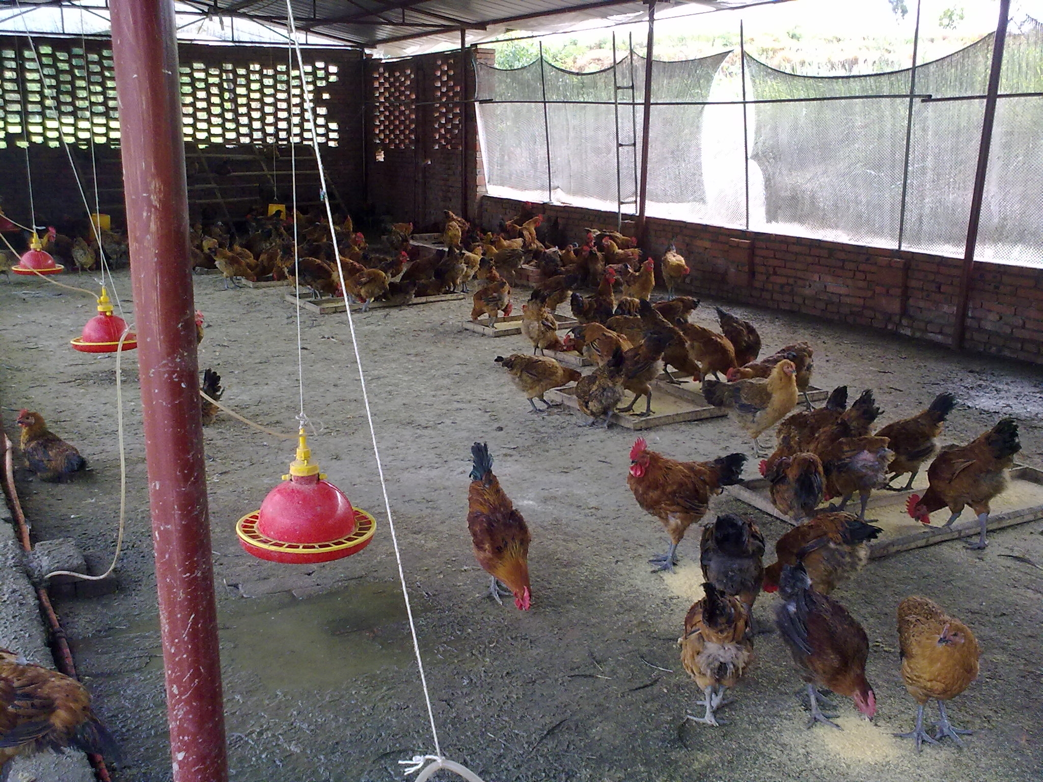 20100814119.jpg