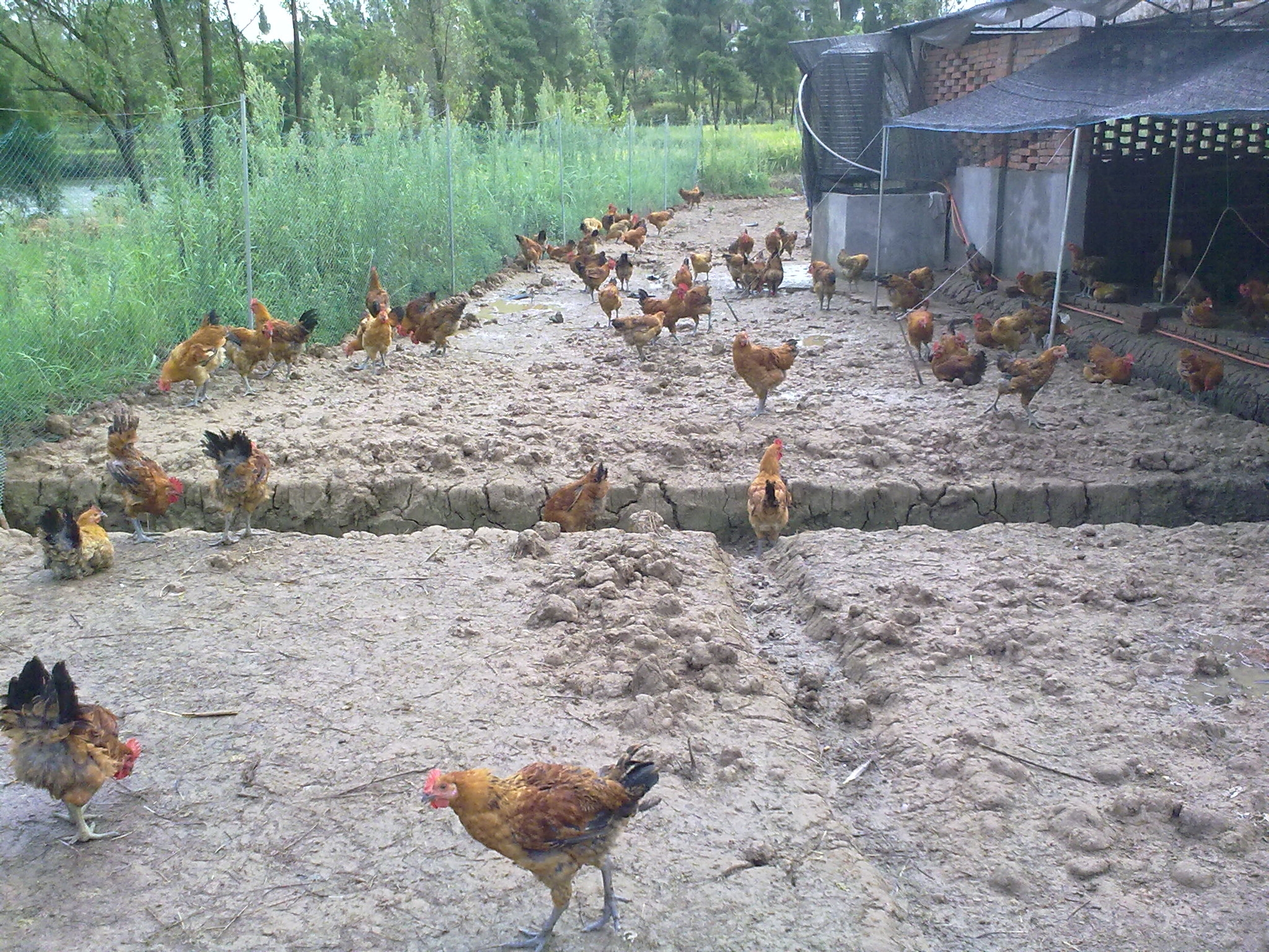 20100814118.jpg