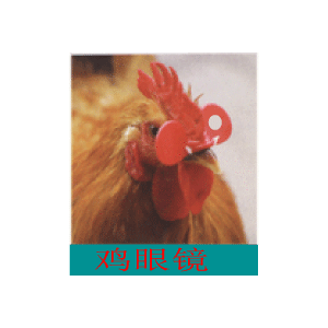 п