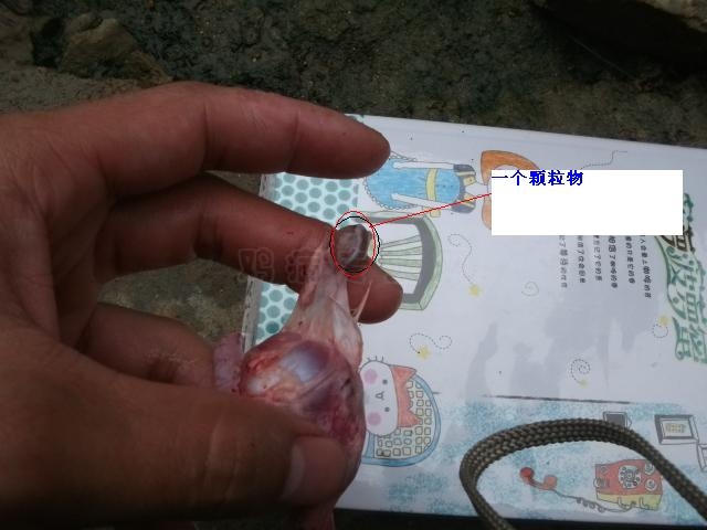 DSCF0776.JPG