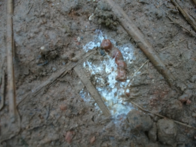 DSCF0789.JPG