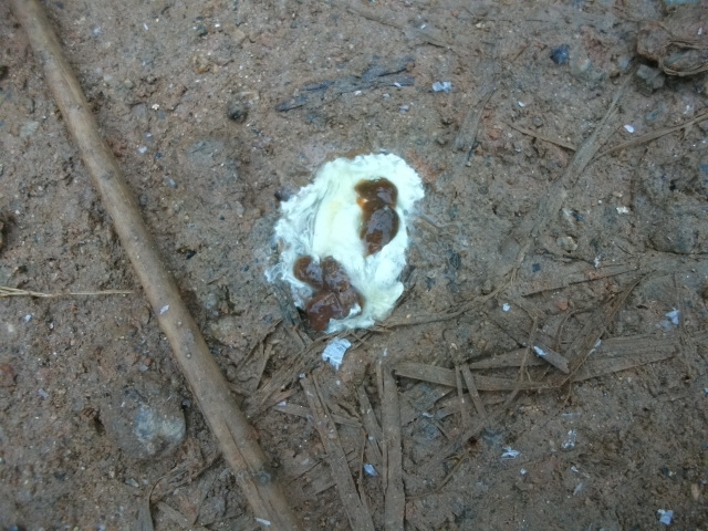 DSCF0793.JPG