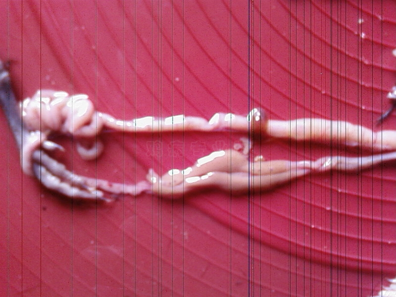 SP_A0121.jpg