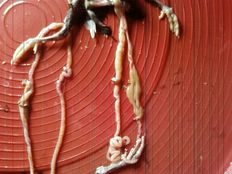 SP_A0122.jpg