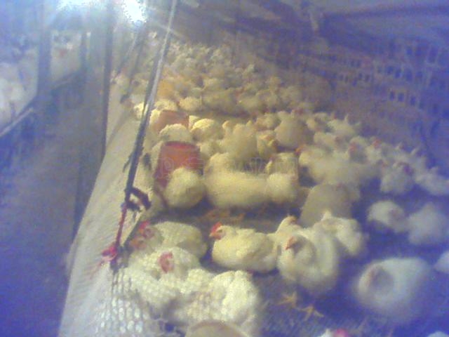 0101_0004_02.jpg