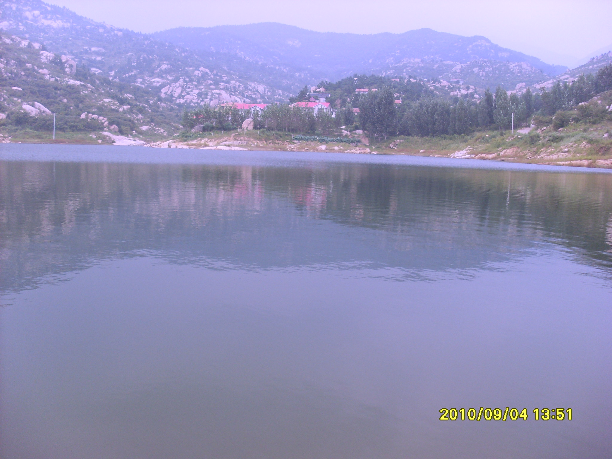 SL387311.JPG
