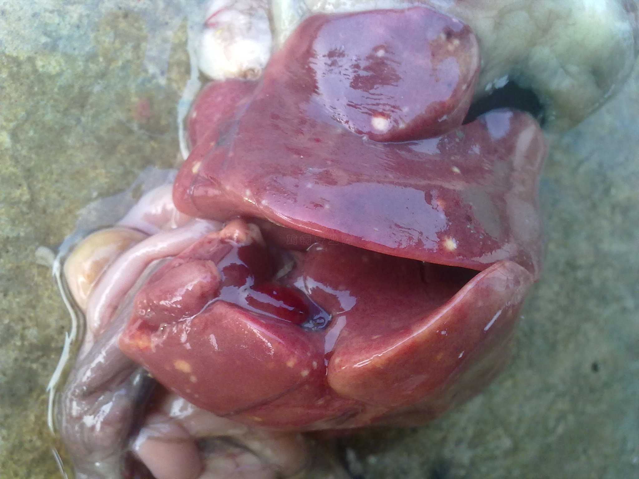20100902075.jpg