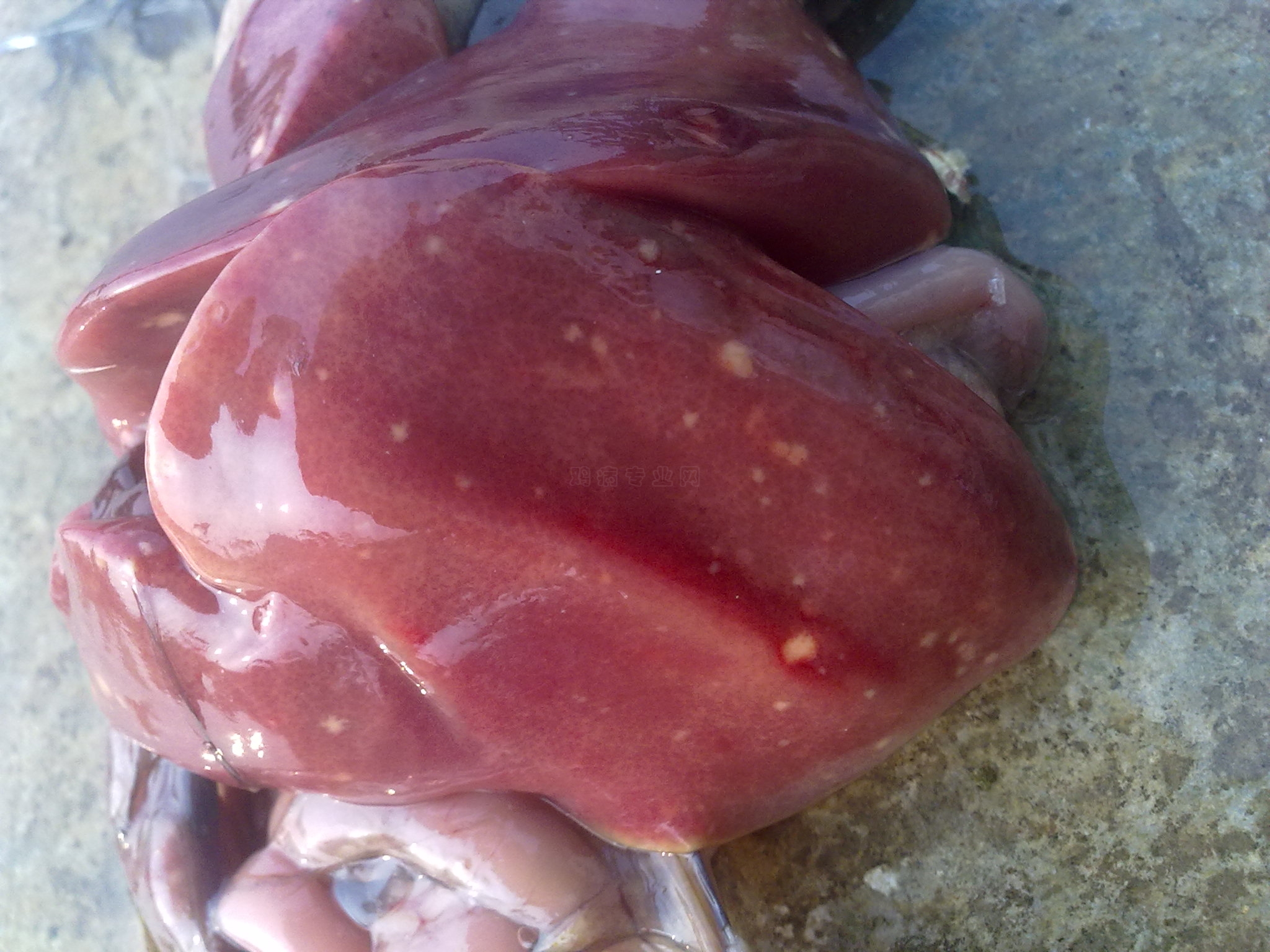 20100902073.jpg