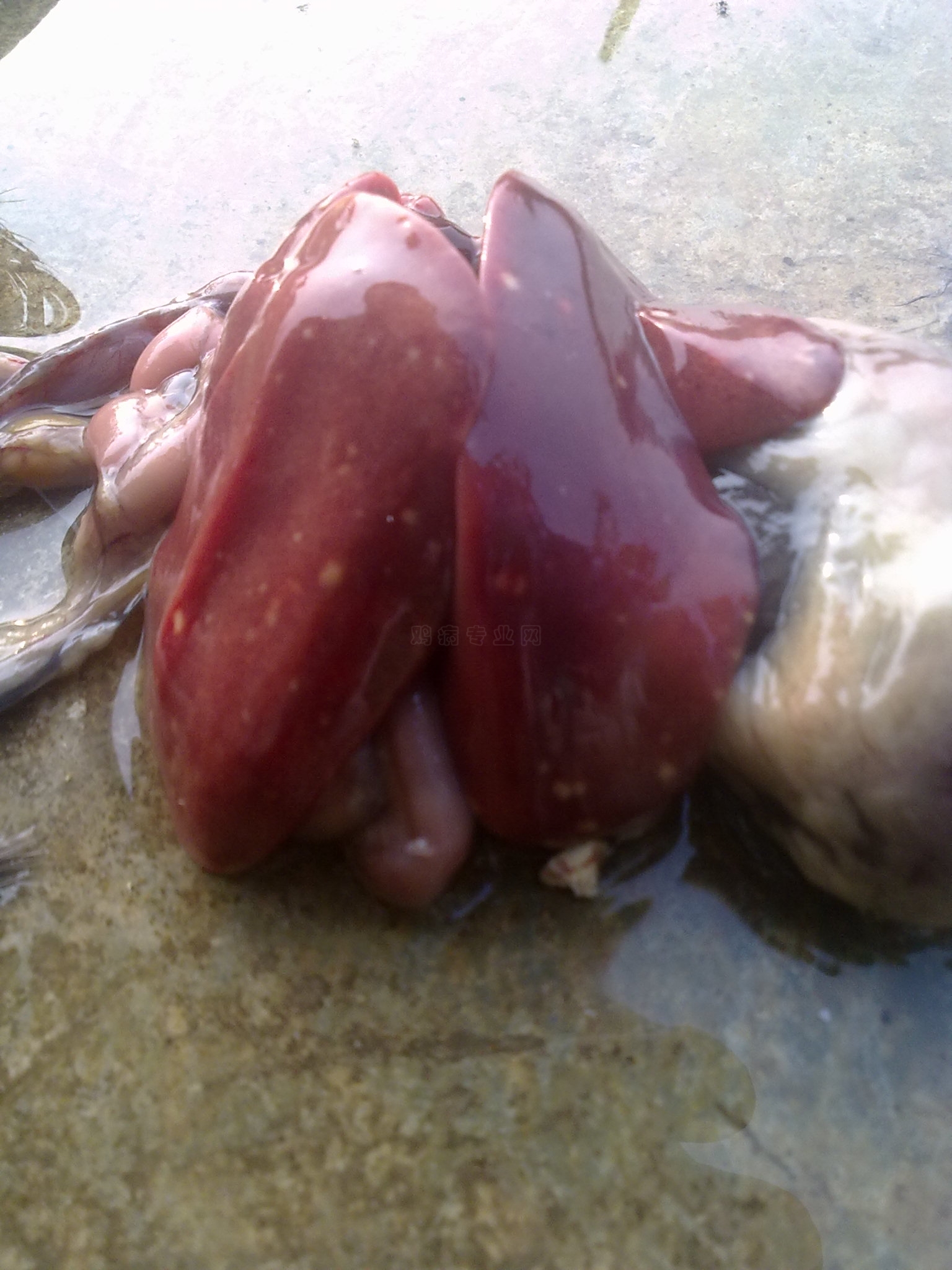 20100902076.jpg