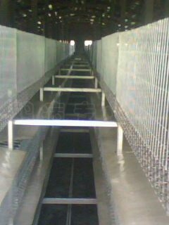 IMG0004A.jpg