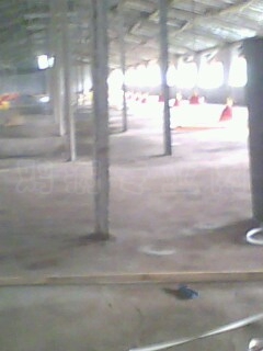 IMG0074A.jpg
