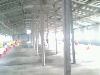 IMG0079A.jpg