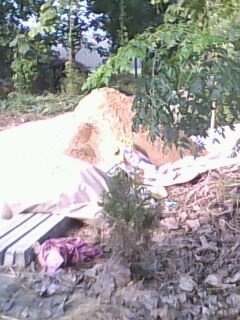 IMG0102A.jpg