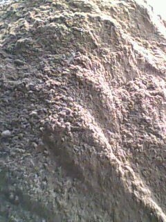 IMG0100A.jpg