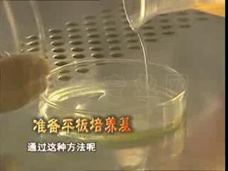 20101022194057.jpg
