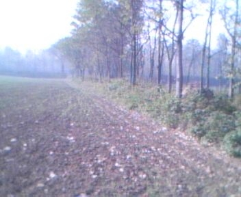 IMG0058A.jpg